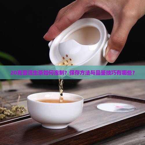 20克普洱生茶如何泡制？保存方法与品鉴技巧有哪些？