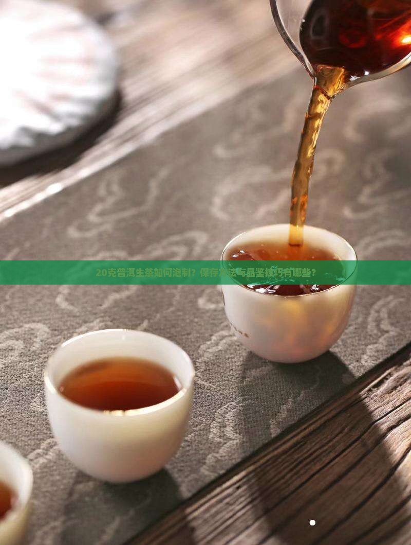 20克普洱生茶如何泡制？保存方法与品鉴技巧有哪些？