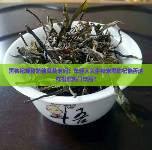 黑狗杞能和熟普洱茶泡吗？年轻人养生新宠黑枸杞能否这样搭配热门饮品？
