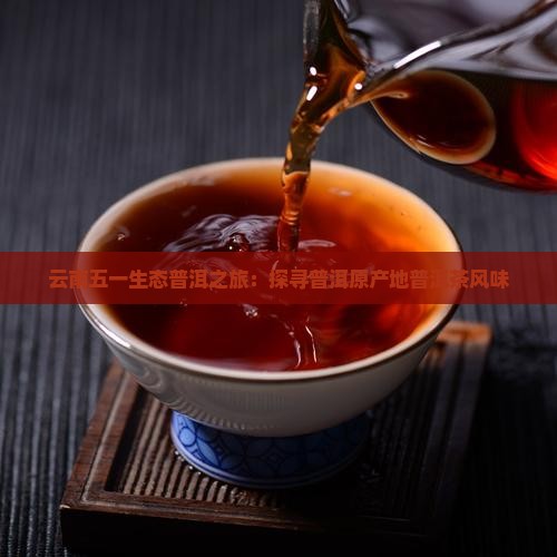 云南五一生态普洱之旅：探寻普洱原产地普洱茶风味