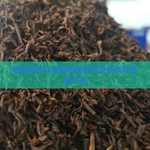普洱茶怎么判断喉韵好坏及变质与否的方法
