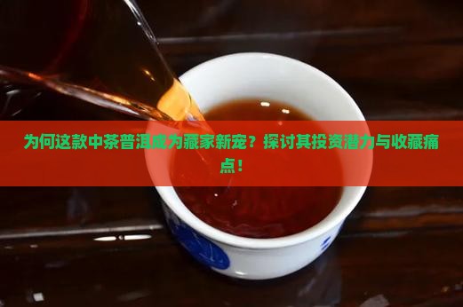 为何这款中茶普洱成为藏家新宠？探讨其投资潜力与收藏痛点！