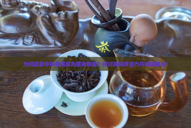 为何这款中茶普洱成为藏家新宠？探讨其投资潜力与收藏痛点！