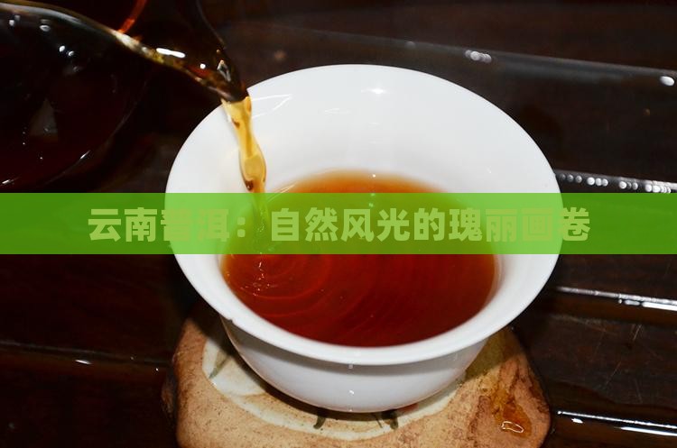 云南普洱：自然风光的瑰丽画卷