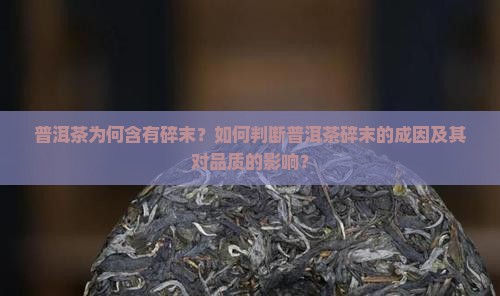 普洱茶为何含有碎末？如何判断普洱茶碎末的成因及其对品质的影响？