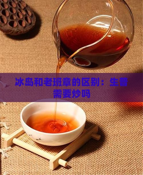 冰岛和老班章的区别：生普需要炒吗