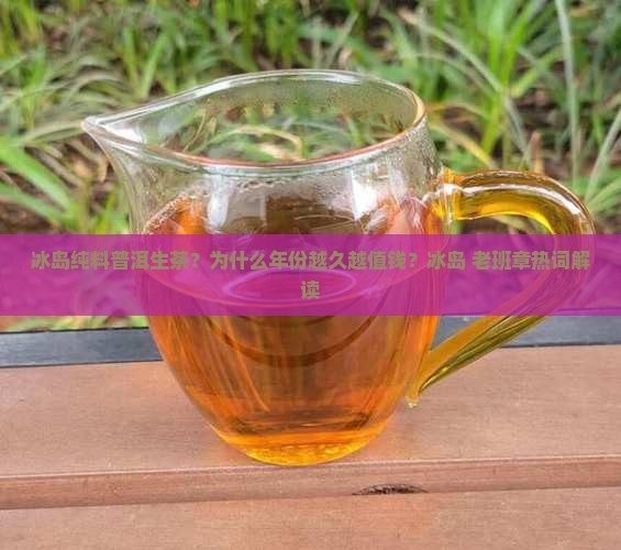 冰岛纯料普洱生茶？为什么年份越久越值钱？冰岛+老班章热词解读
