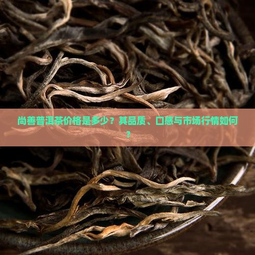 尚善普洱茶价格是多少？其品质、口感与市场行情如何？