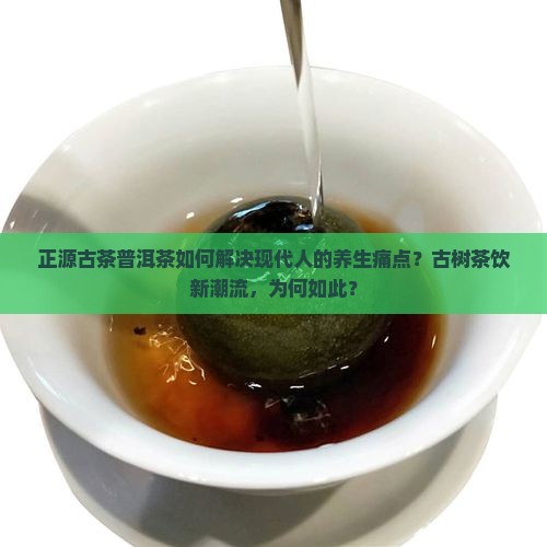 正源古茶普洱茶如何解决现代人的养生痛点？古树茶饮新潮流，为何如此？