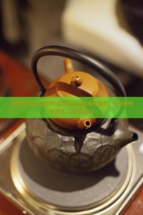 正源古茶普洱茶如何解决现代人的养生痛点？古树茶饮新潮流，为何如此？