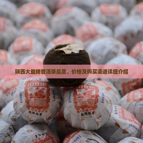 陕西大益牌普洱茶品质、价格及购买渠道详细介绍