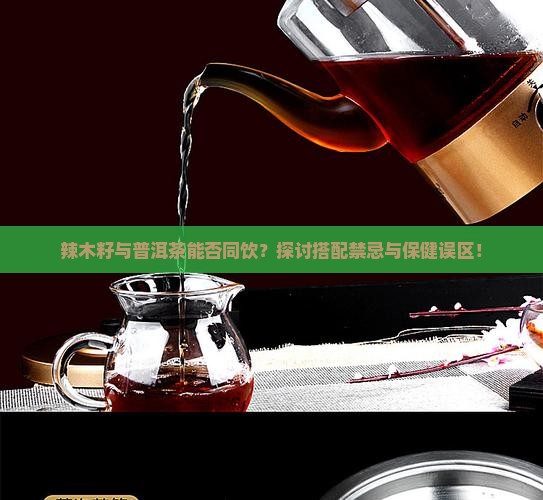 辣木籽与普洱茶能否同饮？探讨搭配禁忌与保健误区！
