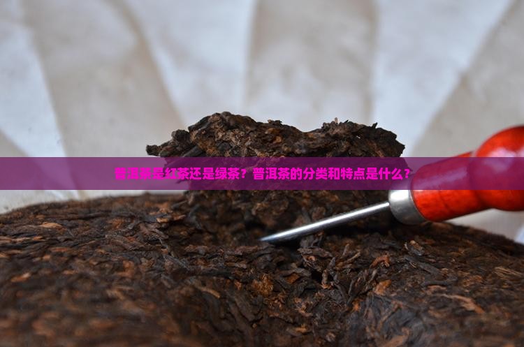 普洱茶是红茶还是绿茶？普洱茶的分类和特点是什么？