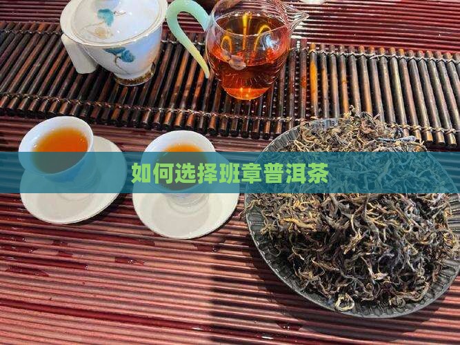 如何选择班章普洱茶
