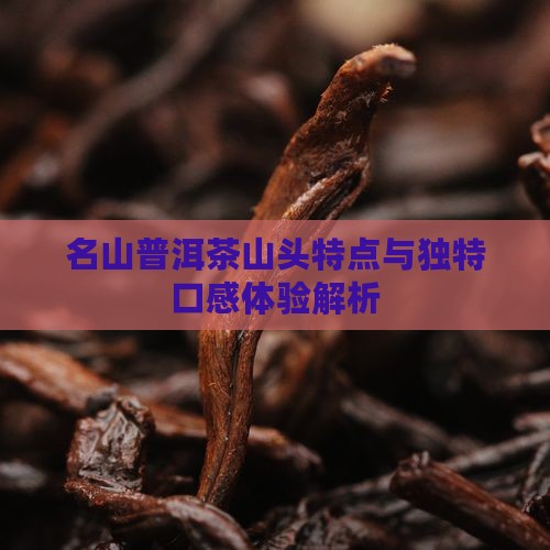 名山普洱茶山头特点与独特口感体验解析