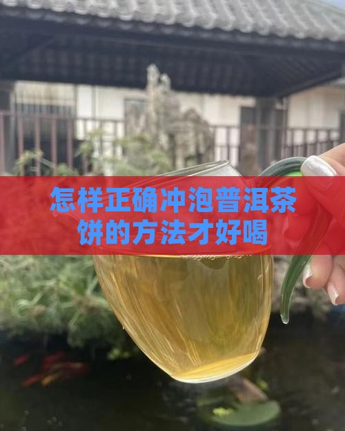 怎样正确冲泡普洱茶饼的方法才好喝