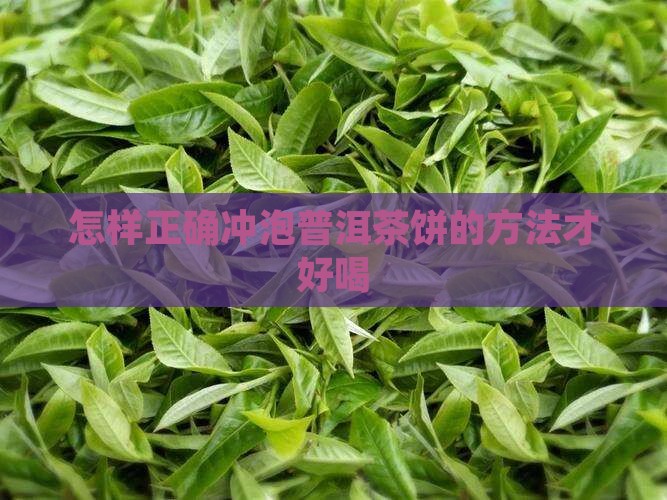 怎样正确冲泡普洱茶饼的方法才好喝