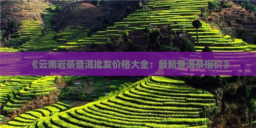《云南岩茶普洱批发价格大全：最新普洱茶报价》