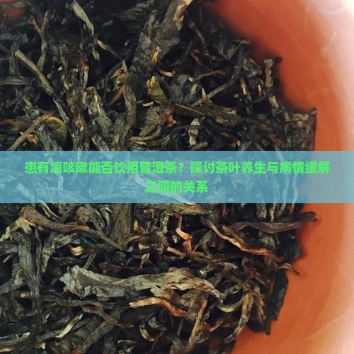 患有凉咳嗽能否饮用普洱茶？探讨茶叶养生与病情缓解之间的关系