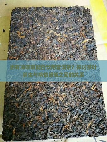 患有凉咳嗽能否饮用普洱茶？探讨茶叶养生与病情缓解之间的关系