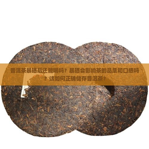 普洱茶暴晒后还能喝吗？暴晒会影响茶的品质和口感吗？该如何正确储存普洱茶？