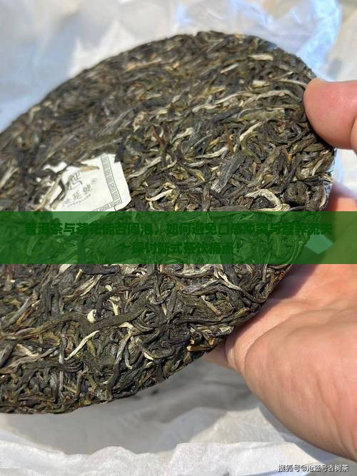 普洱茶与茶花能否同泡，如何避免口感冲突与营养流失？探讨新式茶饮痛点！