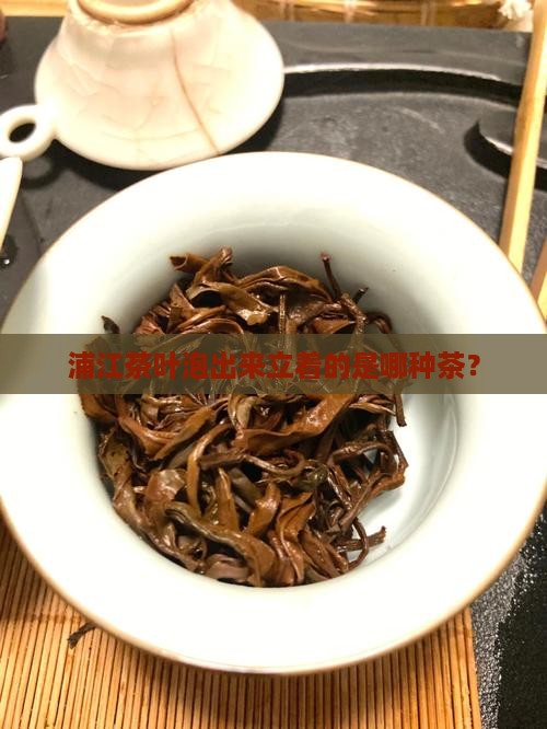 浦江茶叶泡出来立着的是哪种茶？