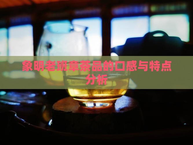 象明老班章茶品的口感与特点分析