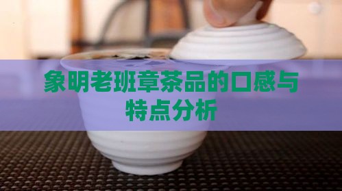 象明老班章茶品的口感与特点分析
