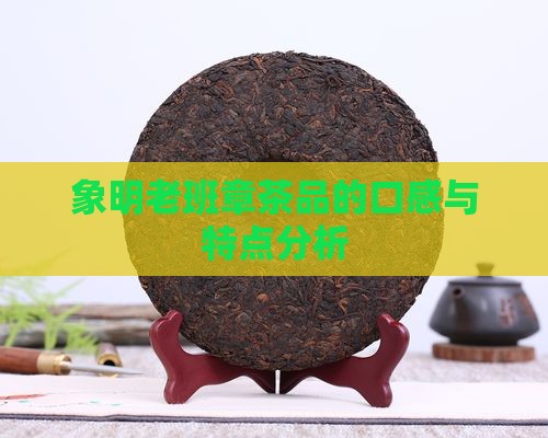 象明老班章茶品的口感与特点分析