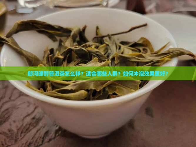 郎河郎醇普洱茶怎么样？适合哪些人群？如何冲泡效果更好？