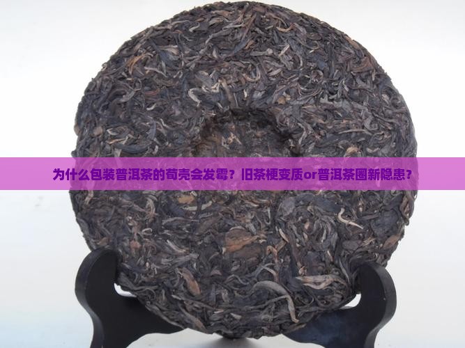 为什么包装普洱茶的荀壳会发霉？旧茶梗变质or普洱茶圈新隐患？
