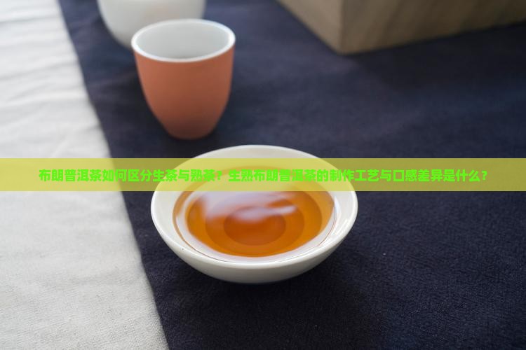 布朗普洱茶如何区分生茶与熟茶？生熟布朗普洱茶的制作工艺与口感差异是什么？