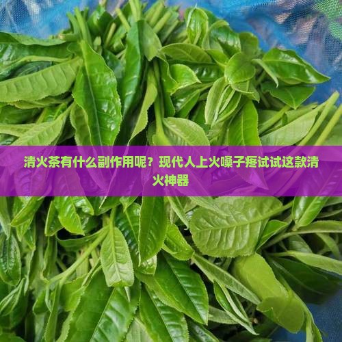 清火茶有什么副作用呢？现代人上火嗓子疼试试这款清火神器