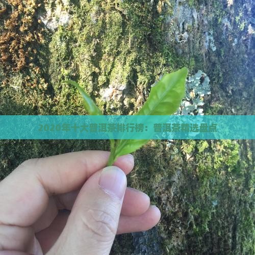 2020年十大普洱茶排行榜：普洱茶精选盘点