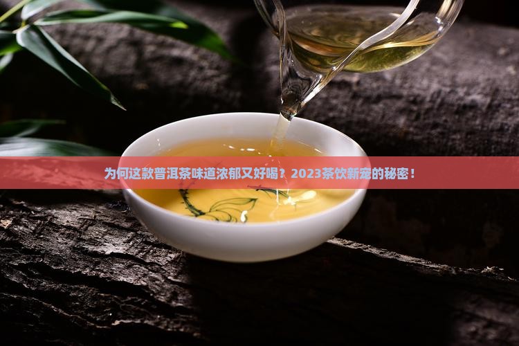 为何这款普洱茶味道浓郁又好喝？2023茶饮新宠的秘密！