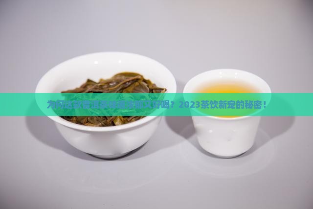 为何这款普洱茶味道浓郁又好喝？2023茶饮新宠的秘密！