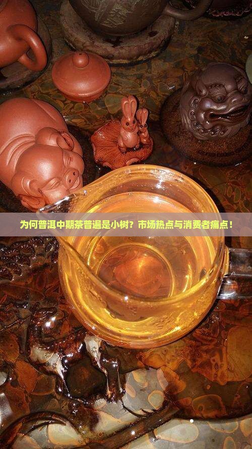 为何普洱中期茶普遍是小树？市场热点与消费者痛点！