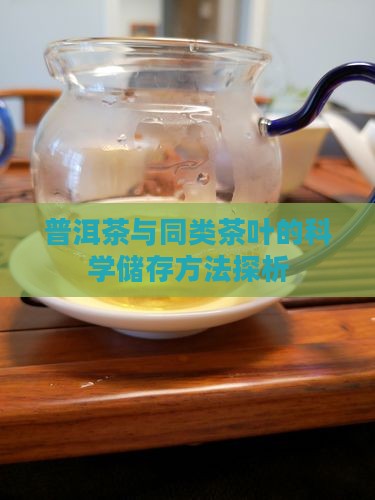 普洱茶与同类茶叶的科学储存方法探析