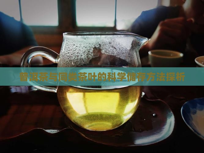 普洱茶与同类茶叶的科学储存方法探析