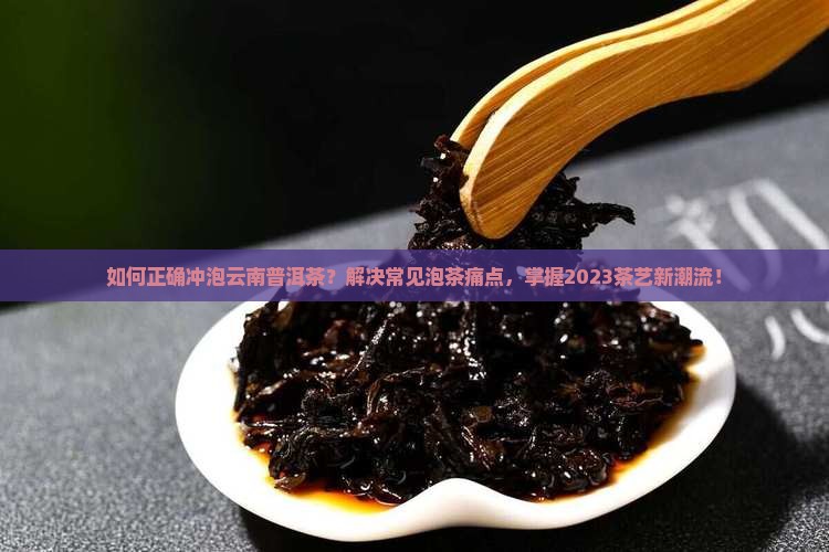 如何正确冲泡云南普洱茶？解决常见泡茶痛点，掌握2023茶艺新潮流！