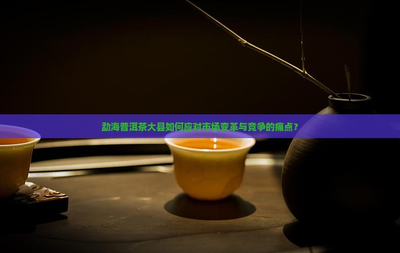 勐海普洱茶大县如何应对市场变革与竞争的痛点？