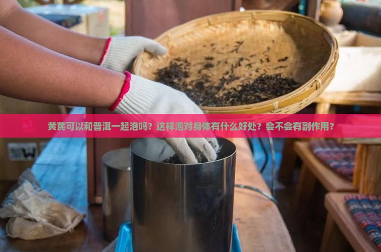 黄芪可以和普洱一起泡吗？这样泡对身体有什么好处？会不会有副作用？