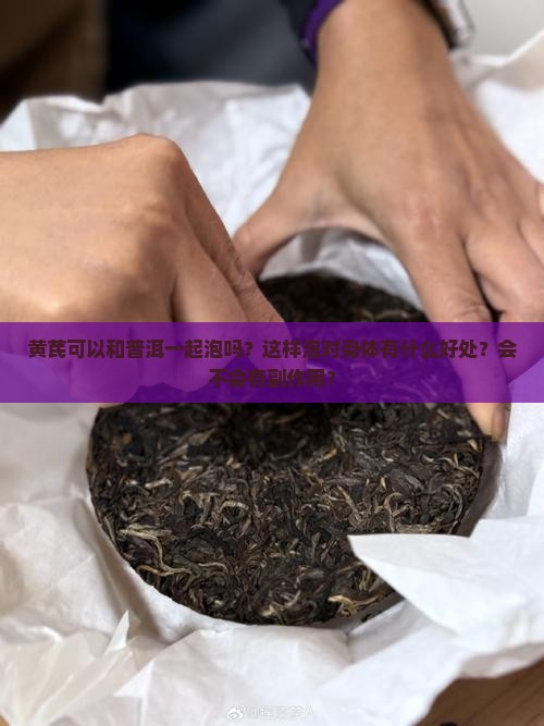 黄芪可以和普洱一起泡吗？这样泡对身体有什么好处？会不会有副作用？