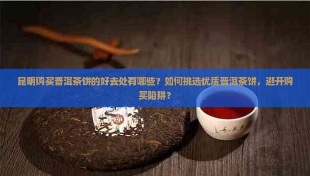 昆明购买普洱茶饼的好去处有哪些？如何挑选优质普洱茶饼，避开购买陷阱？
