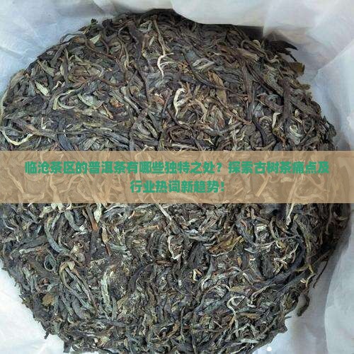 临沧茶区的普洱茶有哪些独特之处？探索古树茶痛点及行业热词新趋势！