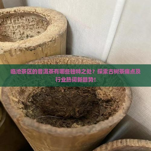 临沧茶区的普洱茶有哪些独特之处？探索古树茶痛点及行业热词新趋势！