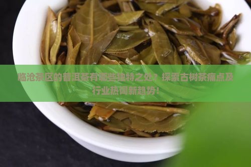 临沧茶区的普洱茶有哪些独特之处？探索古树茶痛点及行业热词新趋势！