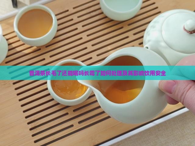 普洱茶长毛了还能喝吗长霉了如何处理及其影响饮用安全