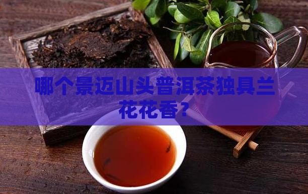哪个景迈山头普洱茶独具兰花花香？